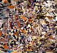 cecily brown cecily brown