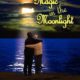 magic in the moonlight magic in the moonlight