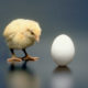 tweet 1