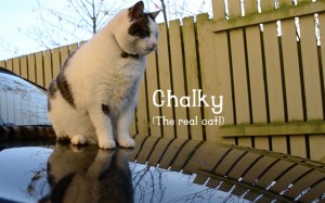 chalky 1