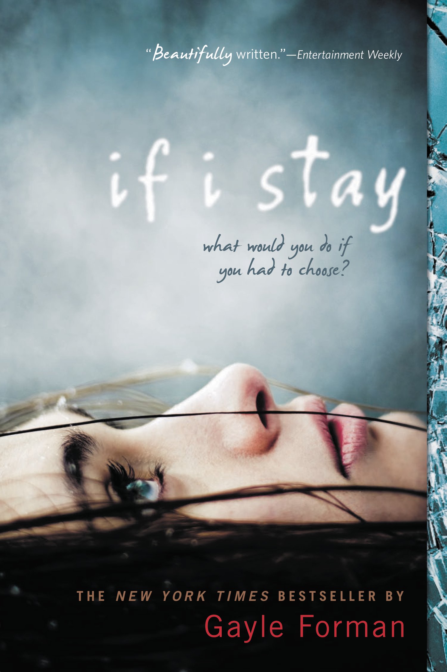 Read more about the article If You Liked “If I Stay”, You’ll LOVE…