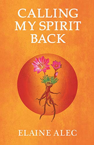 Best Reviewed Books of the Month