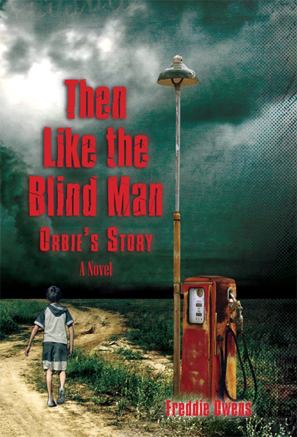 Read more about the article Freddie Owens on IRDA Winner “Then Like the Blind Man: Orbie’s Story”