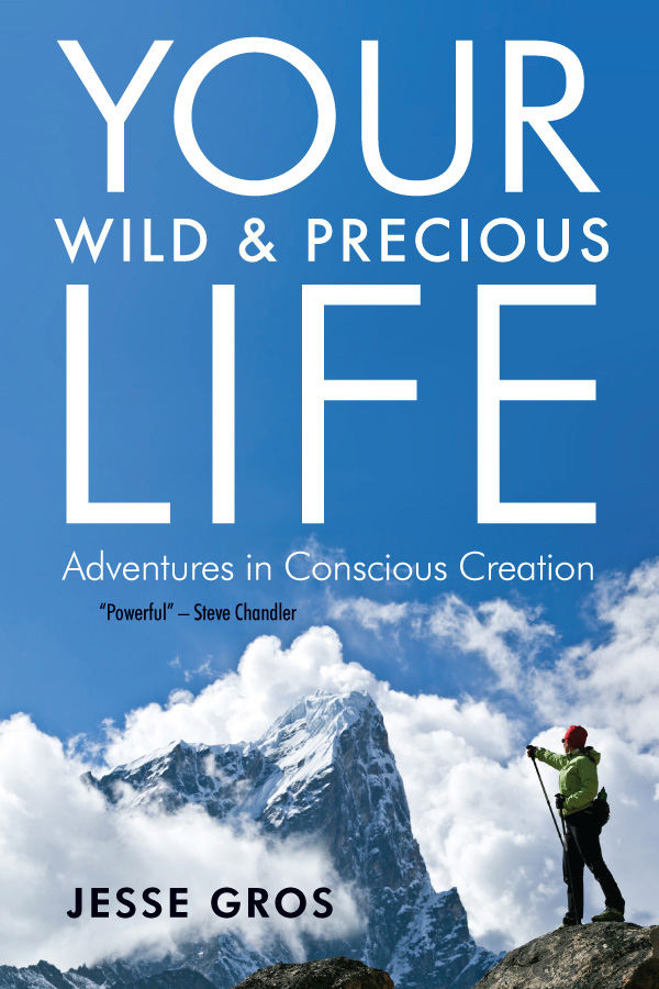 Read more about the article Jesse Gros on his IRDA Winning “Your Wild & Precious Life”