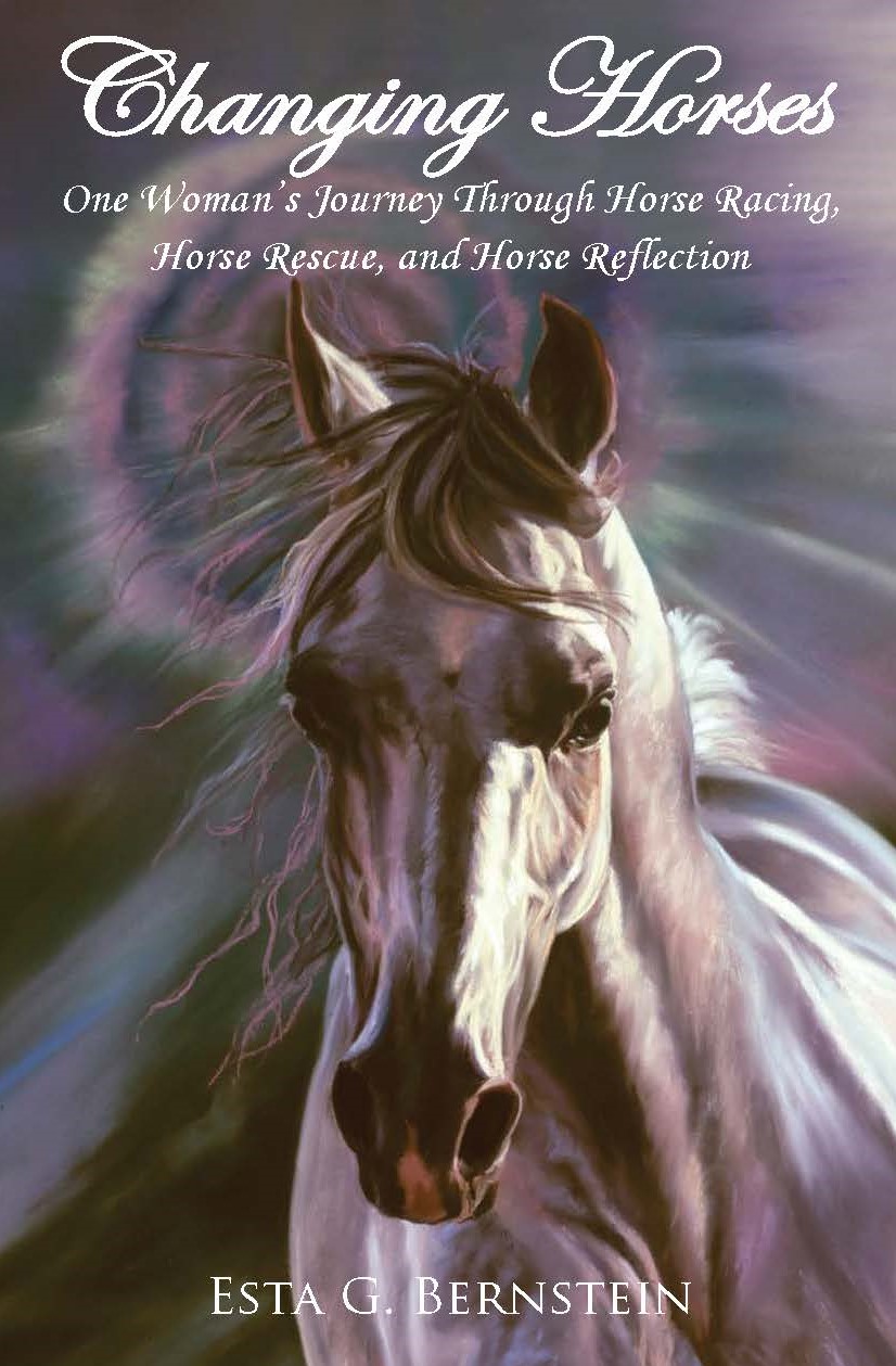 CHANGING HORSES | IndieReader