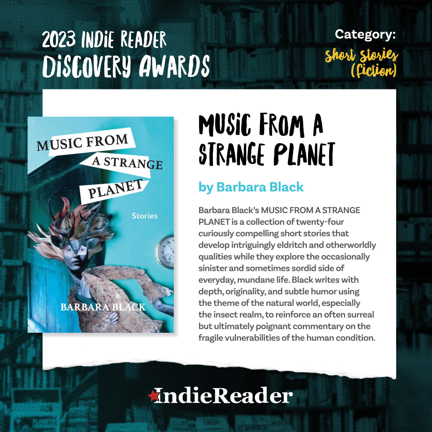 Read more about the article IRDA Winning Author Barbara Black: “Crafting a well-written book that will interest and touch other people is my main goal.”