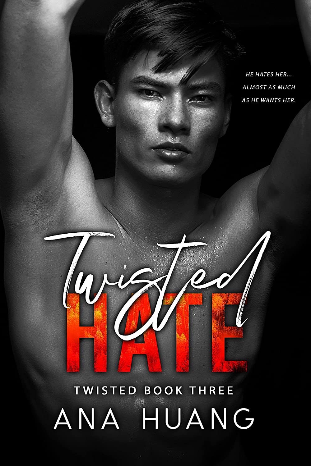 Read more about the article Twisted Hate