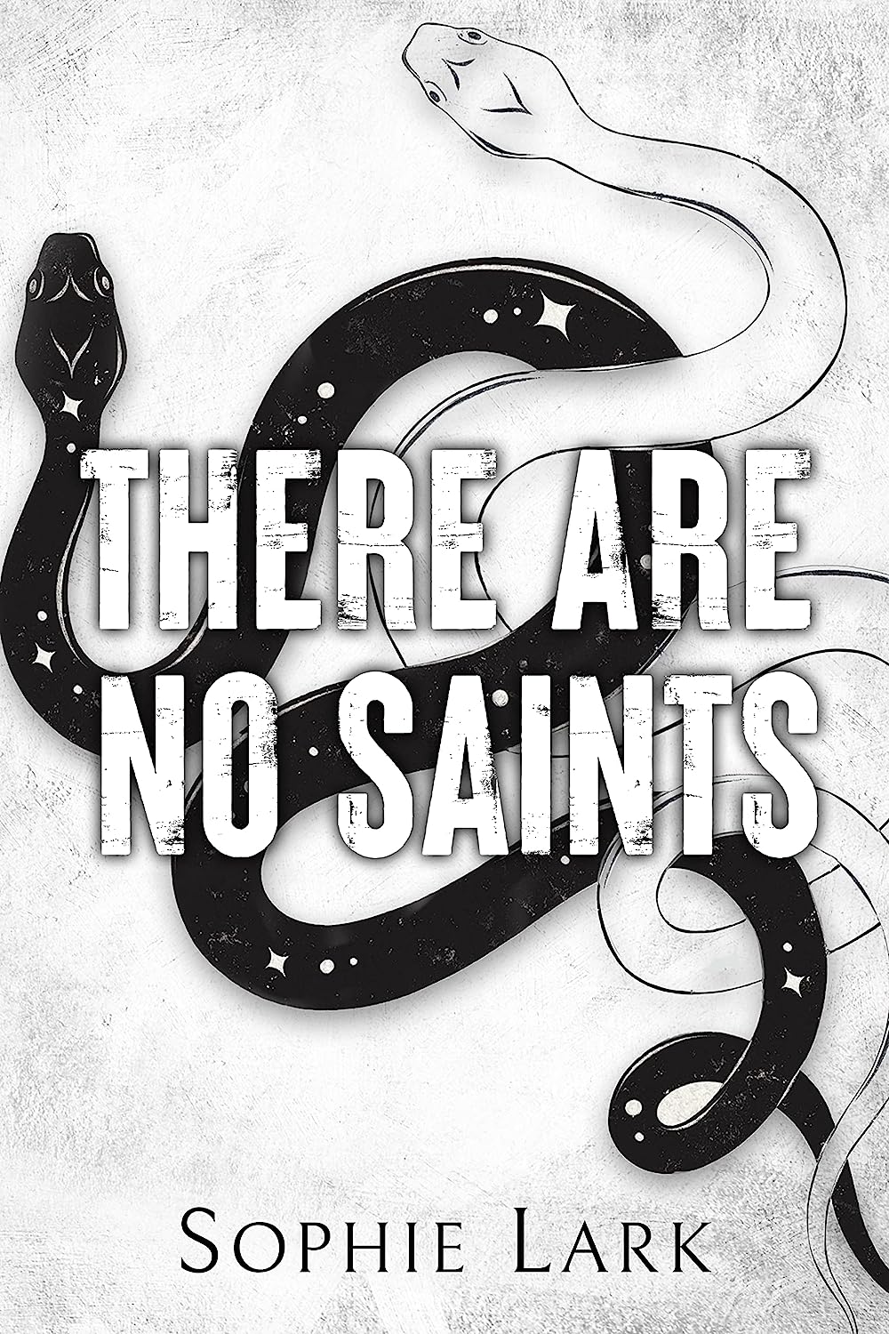 Read more about the article There Are No Saints