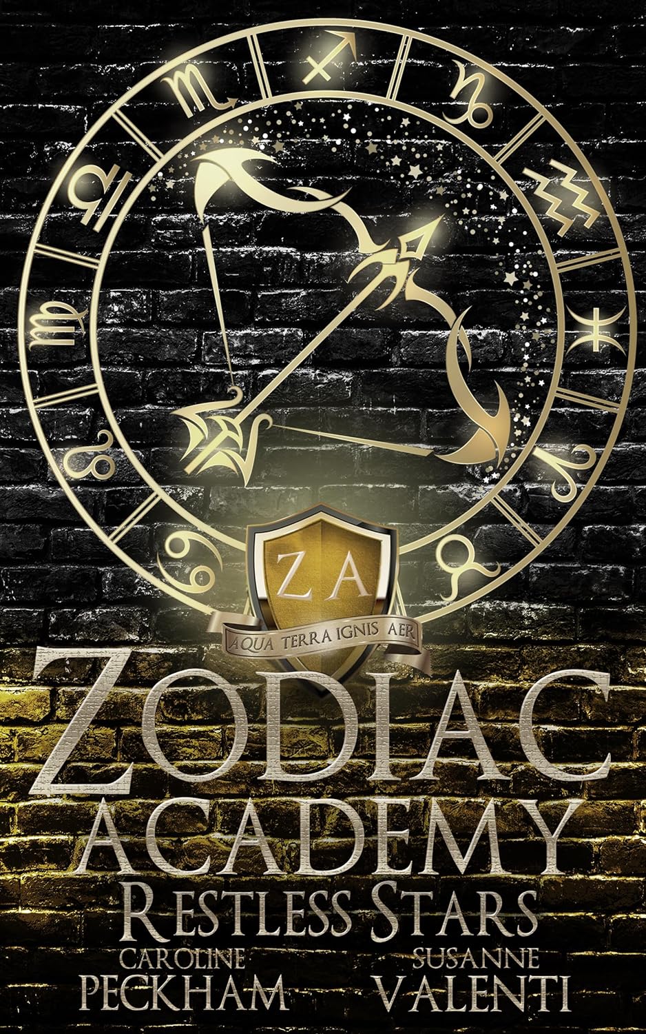 Read more about the article Zodiac Academy 9: Restless Stars