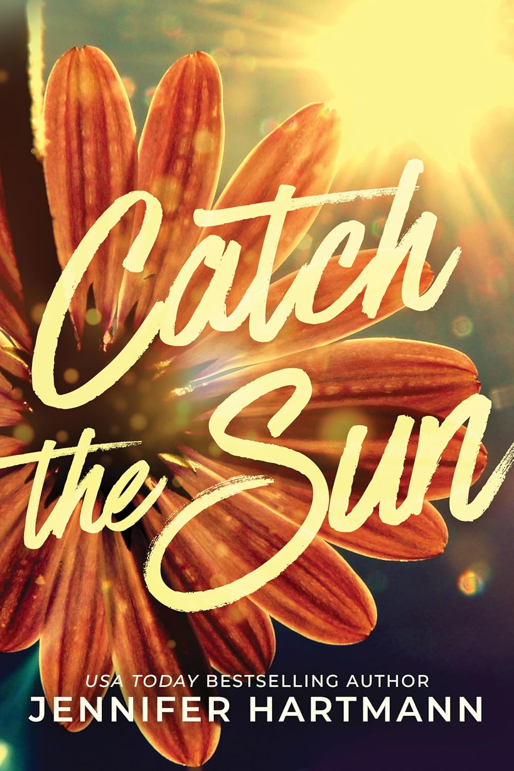 Read more about the article Catch the Sun