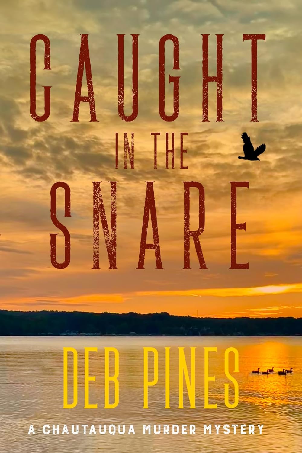 Read more about the article Multiple IR Approved Author Deb Pines Tells All About Her Book (And Clever NY Post Headlines)