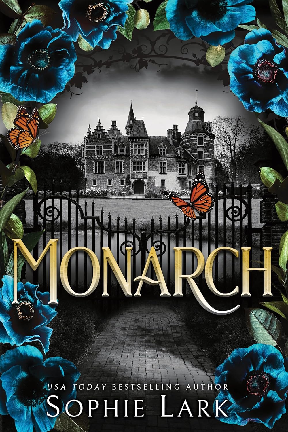 Read more about the article Monarch