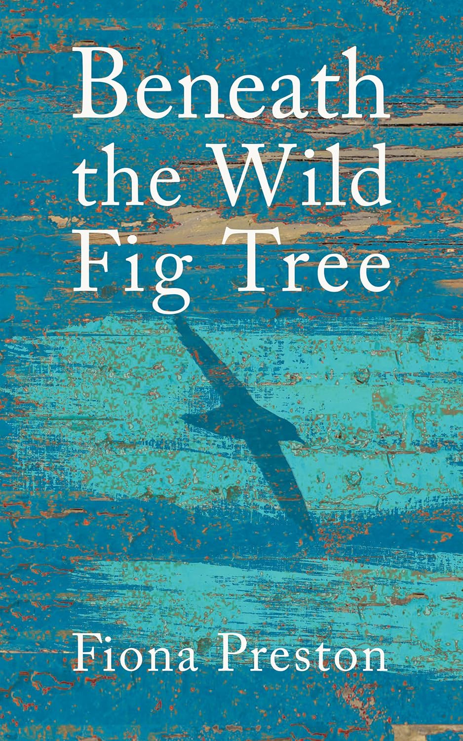 Read more about the article Advice from IR Approved Author Fiona Preston: “…wise up on investing, do it regularly, no matter if they have spare cents rather than dollars. That money will ultimately give a writer more control of their time and the freedom to luxuriate in writing.”