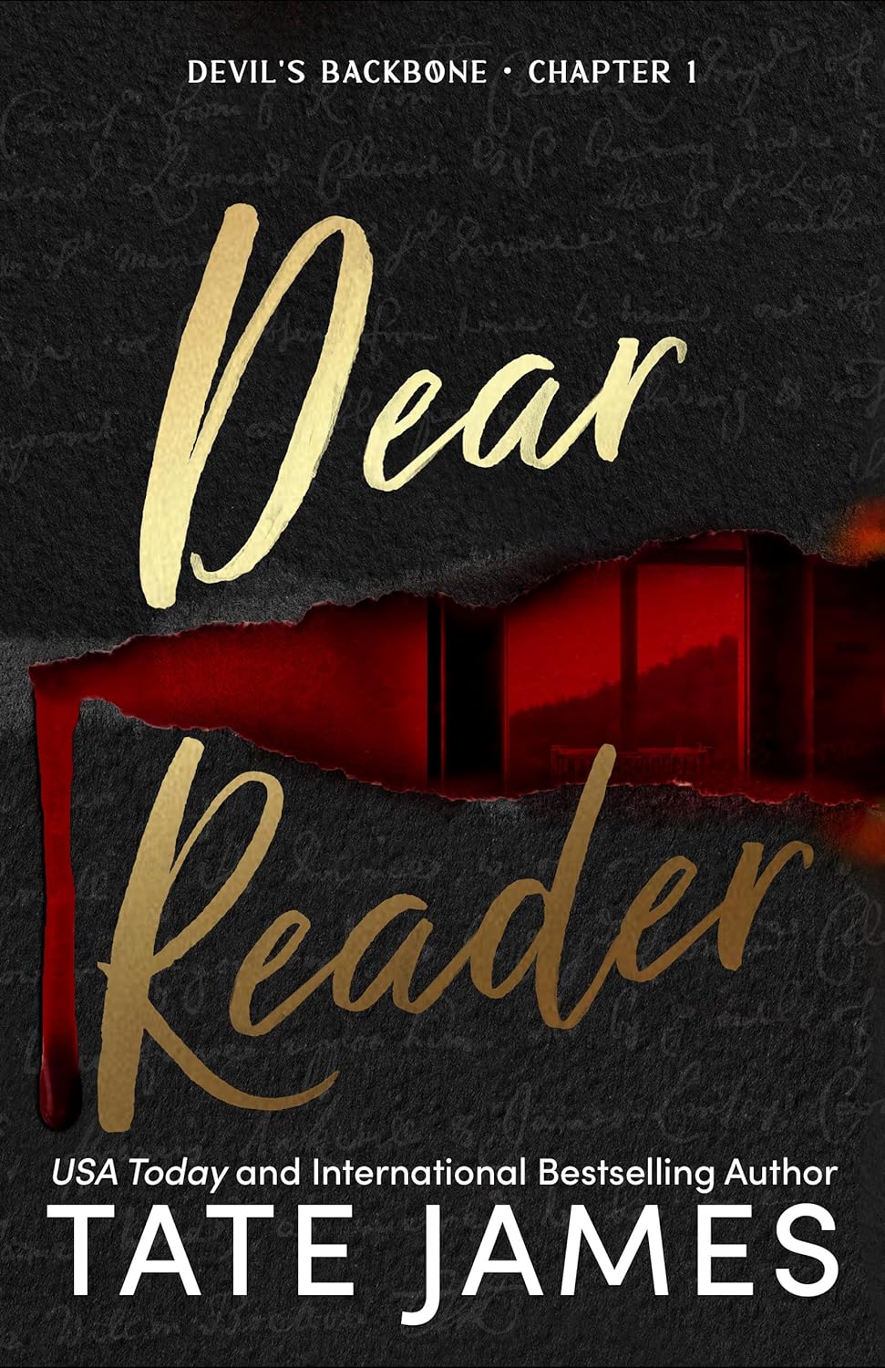 Read more about the article Dear Reader