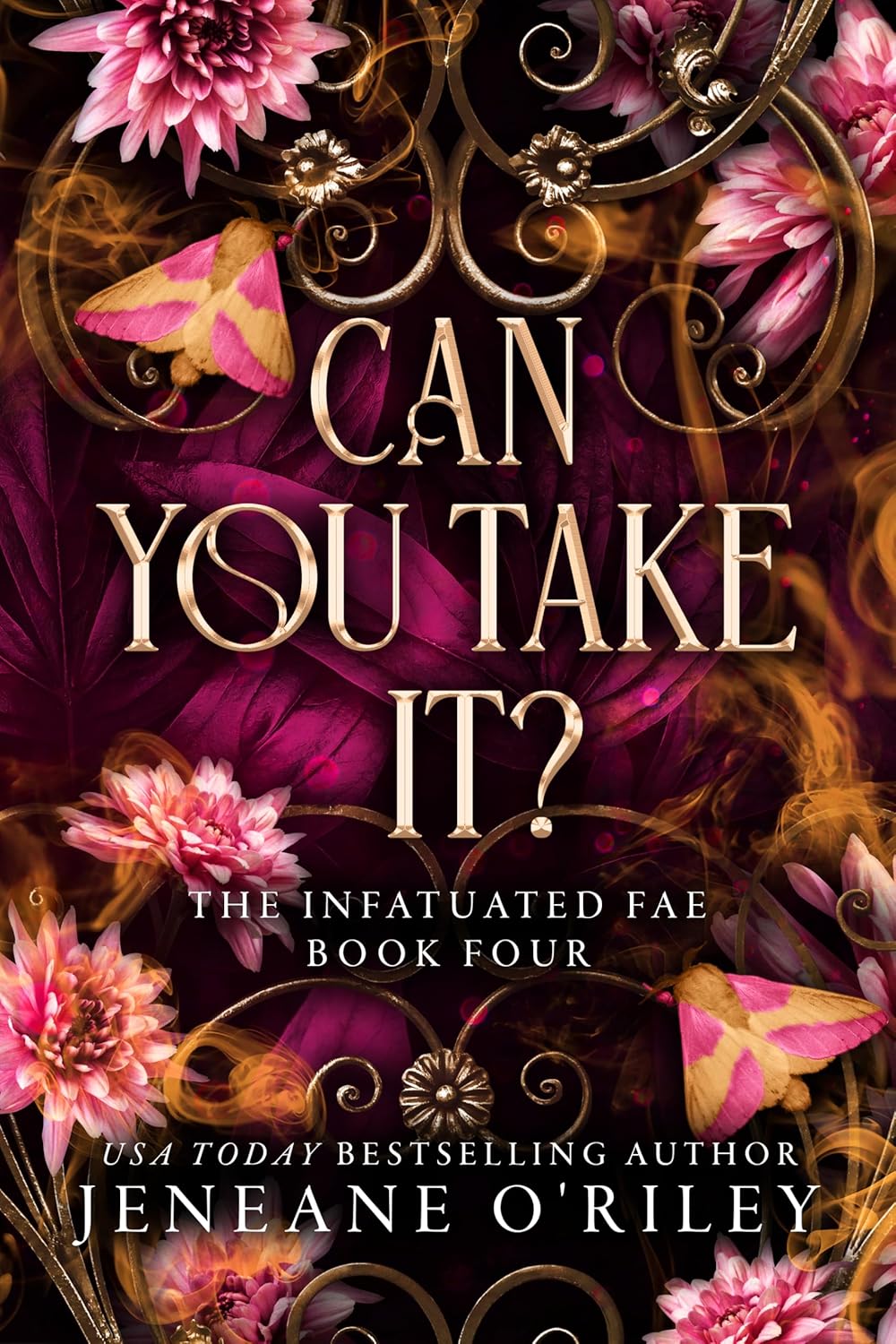 Read more about the article Can You Take It?