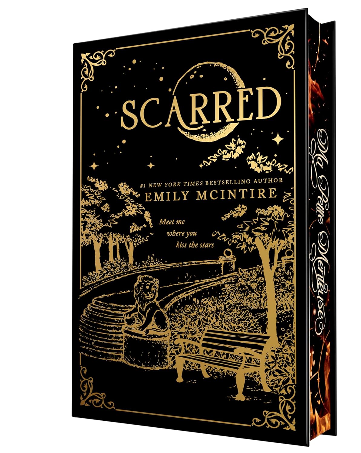 Read more about the article Scarred