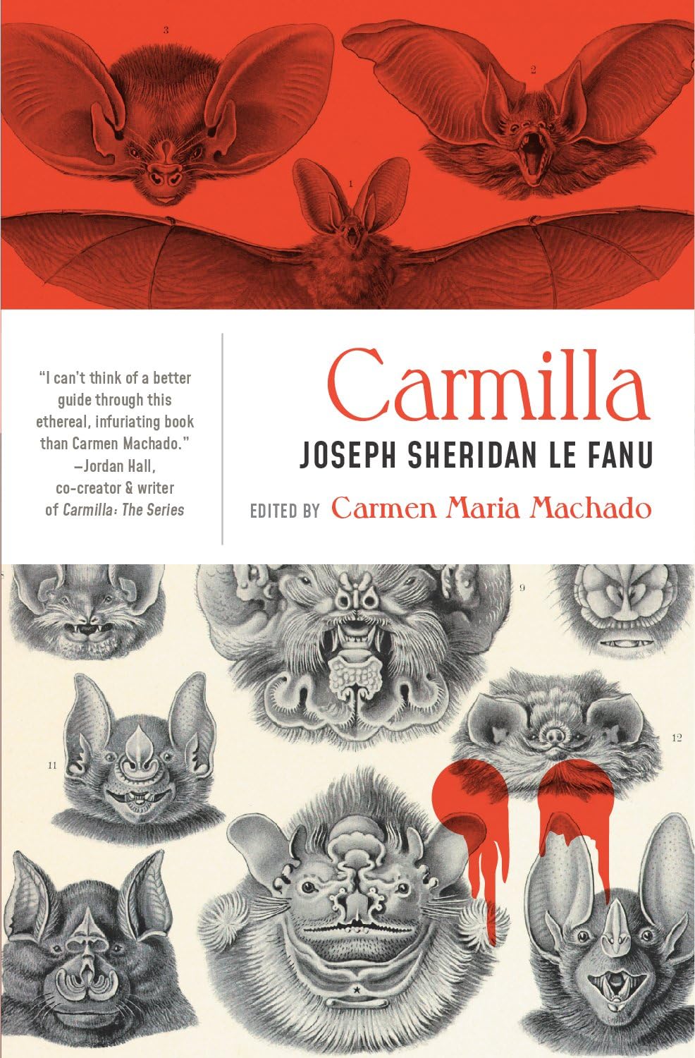 Read more about the article Carmilla