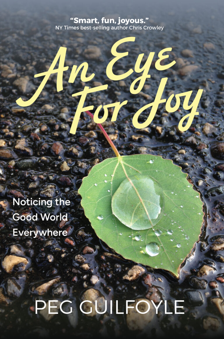 A green leaf with water droplets rests on wet pebbles. The book title “An Eye For Joy” stands out in yellow script, echoing the message of noticing the good world everywhere. Above, a quote; below, the subtitle and author Peg Guilfoyle’s name.