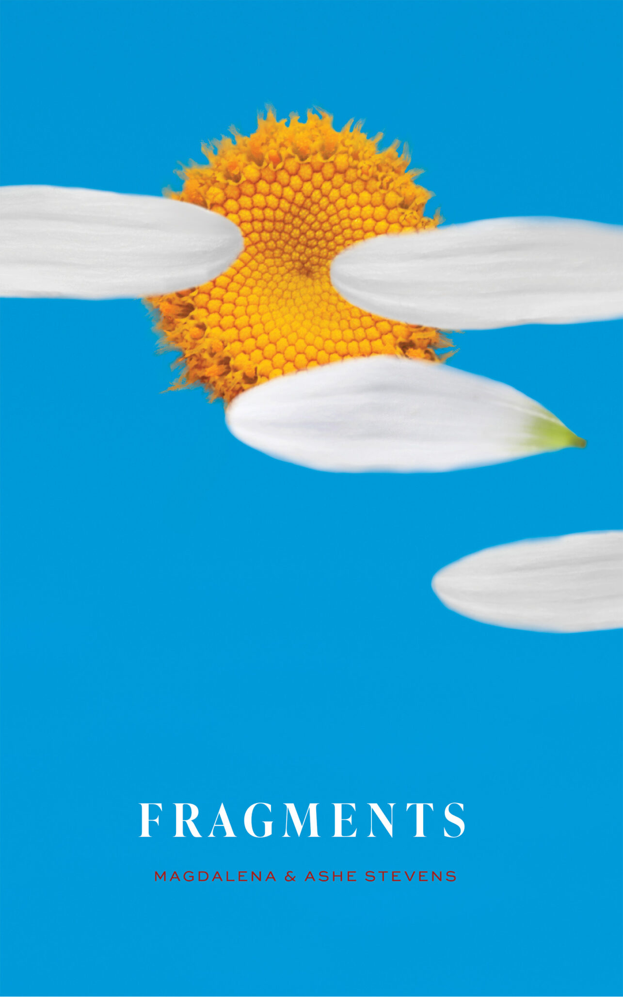 A yellow daisy center with scattered white petals on a bright blue background. The word FRAGMENTS appears in white text below, with MAGDALENA & ASHE STEVENS in red text underneath.