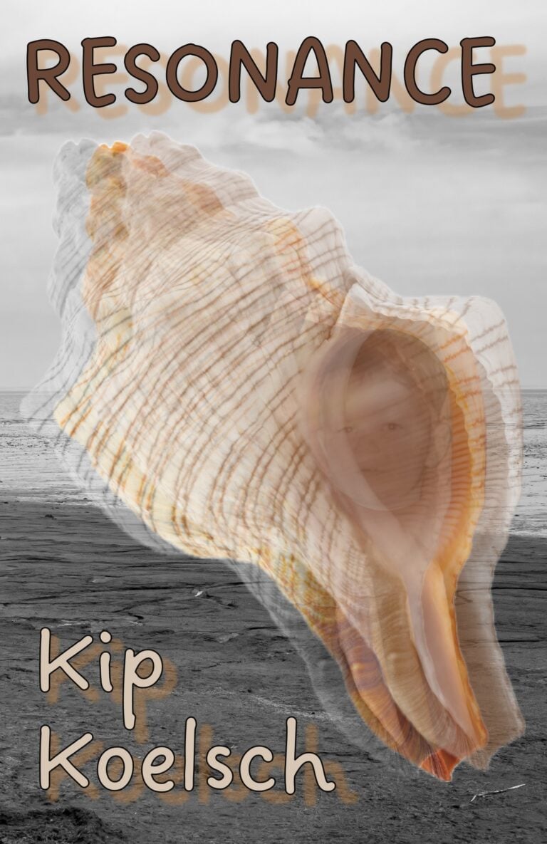 A large conch shell with a ghostly, layered effect overlays a grayscale beach. The title RESONANCE is at the top, and Kip Koelsch is at the bottom, both in a hand-drawn style font.