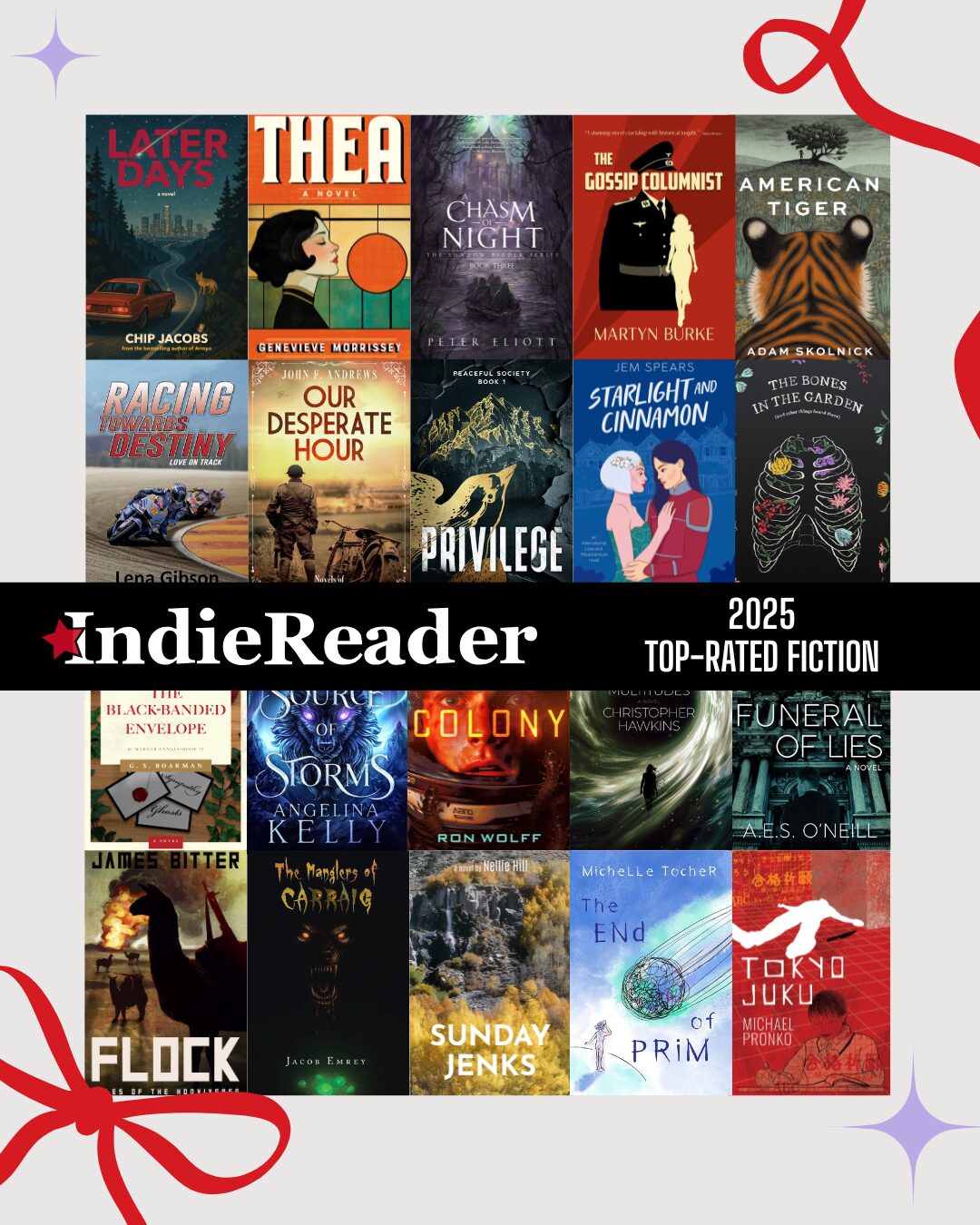 Read more about the article IndieReader’s Top-Rated Books of 2025