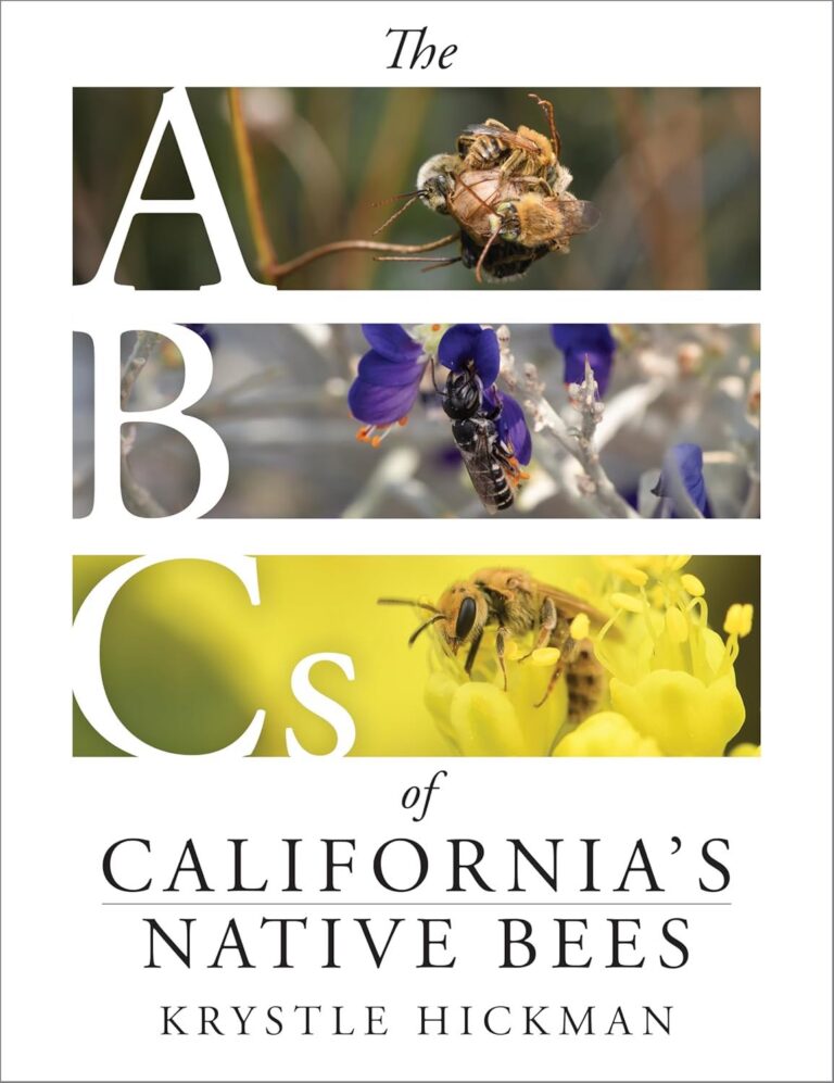 Book cover titled The ABCs of California&rsquo;s Native Bees by Krystle Hickman, featuring close-up photos of California native bees on flowers within the letters A, B, and C.
