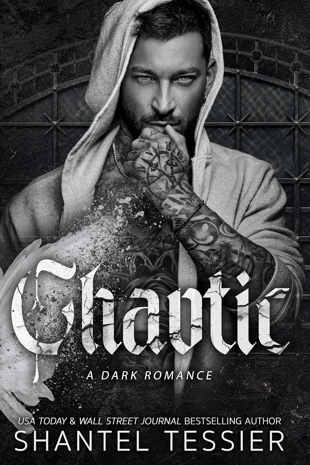Read more about the article Chaotic: A Dark Romance